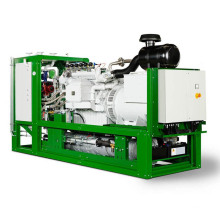 ISO CE genehmigte hohe Effizienz 30 kW-500 kW Deutschland Mann Gaskraftgenerator